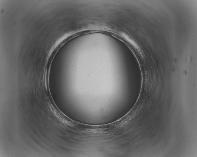 X0000085831272200703301610