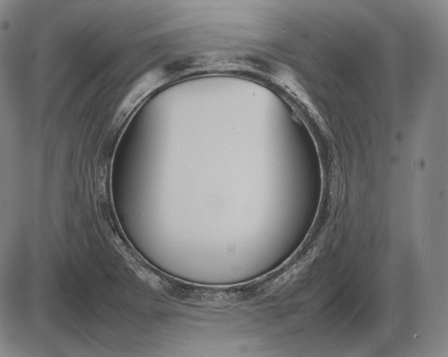 X0000085831273200703301610