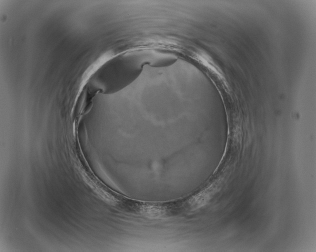 X0000085831275200703301610