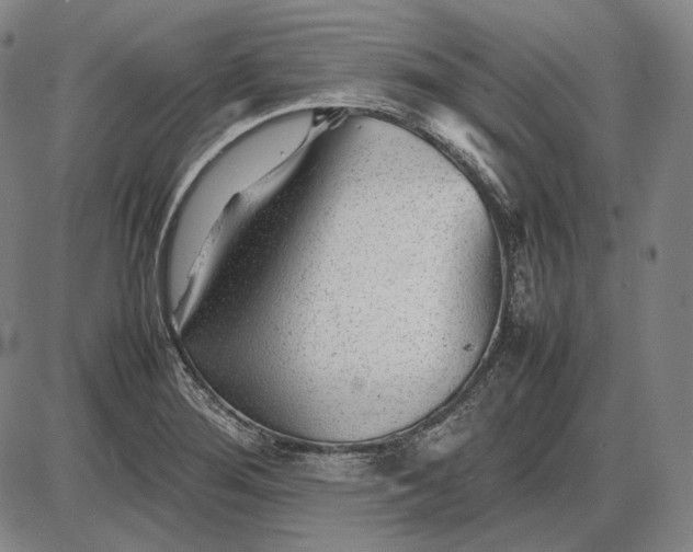 X0000085831276200703301610