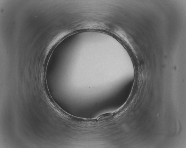 X0000085831277200703301610