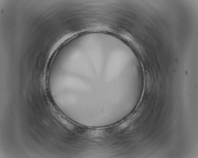 X0000085831278200703301610