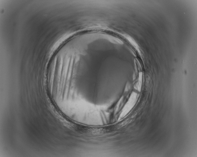 X0000085831279200703301610