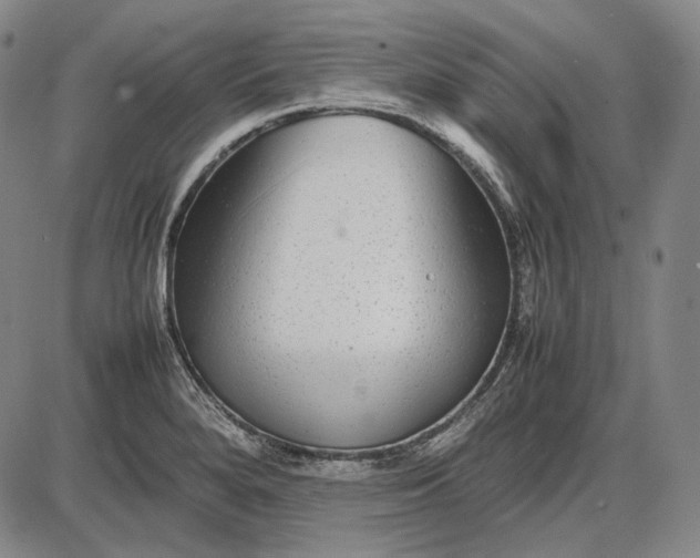 X0000085831280200703301610