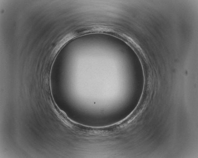 X0000085831281200703301610