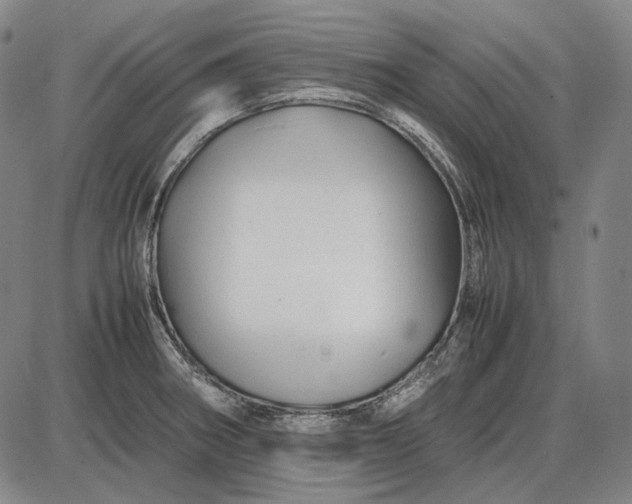 X0000085831282200703301610