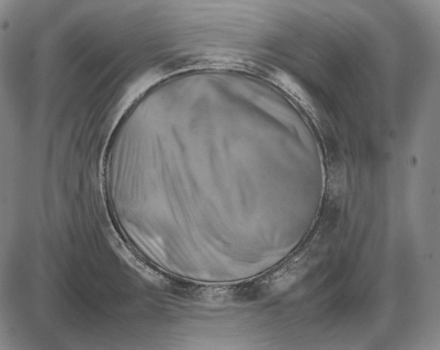 X0000085831283200703301610