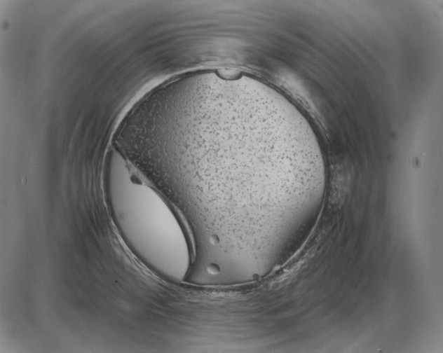 X0000085831284200703301610