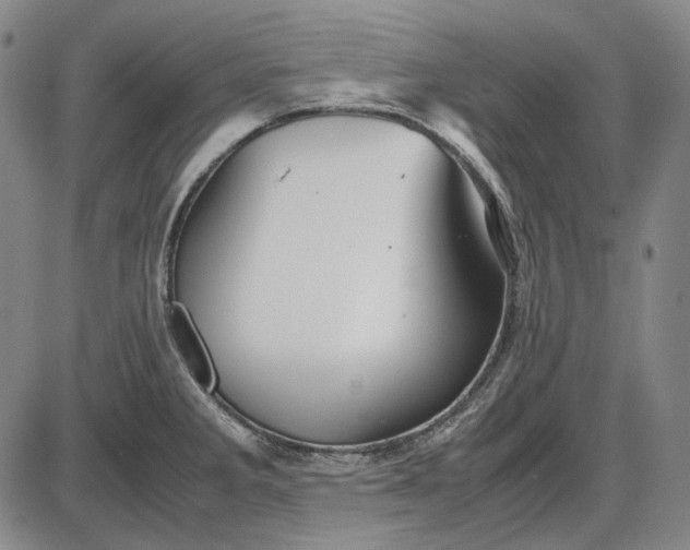 X0000085831285200703301610