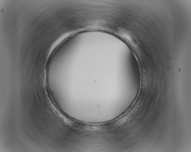 X0000085831286200703301610