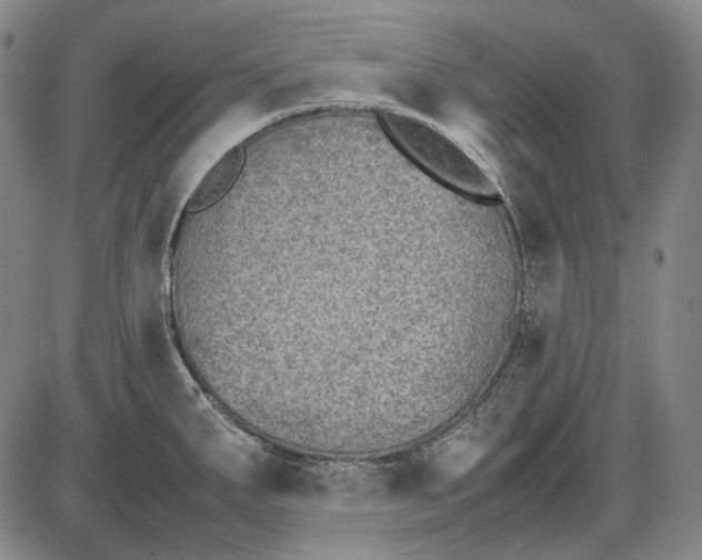 X0000085831287200703301610