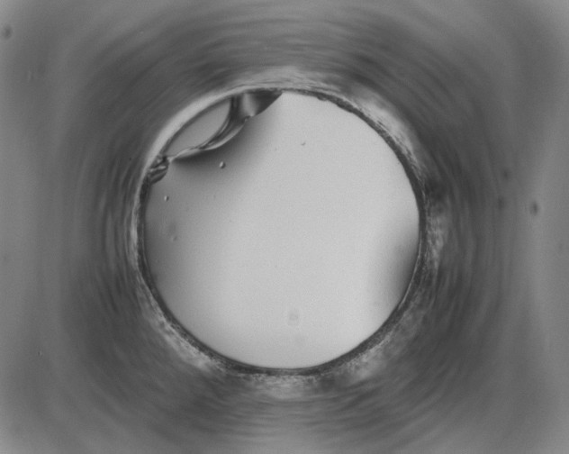 X0000085831288200703301610