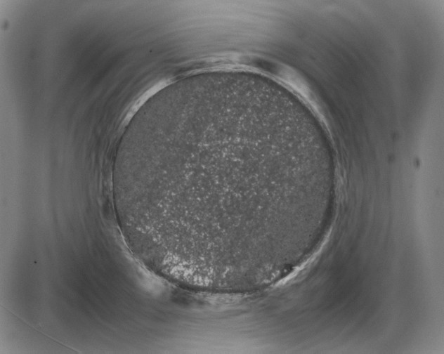 X0000085831289200703301610