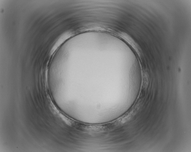 X0000085831290200703301610