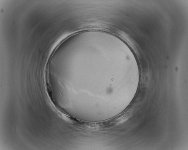 X0000085831291200703301609