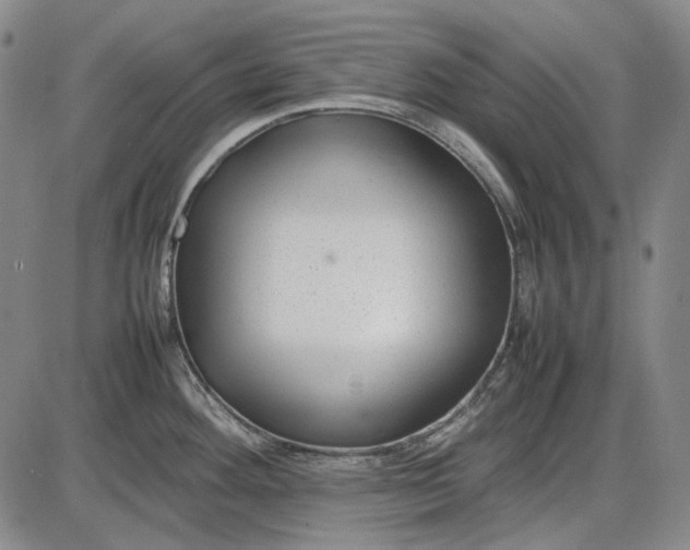 X0000085831292200703301609