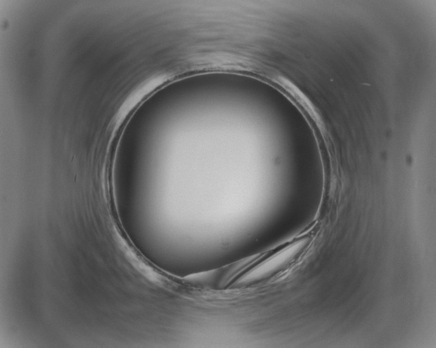 X0000085831293200703301609