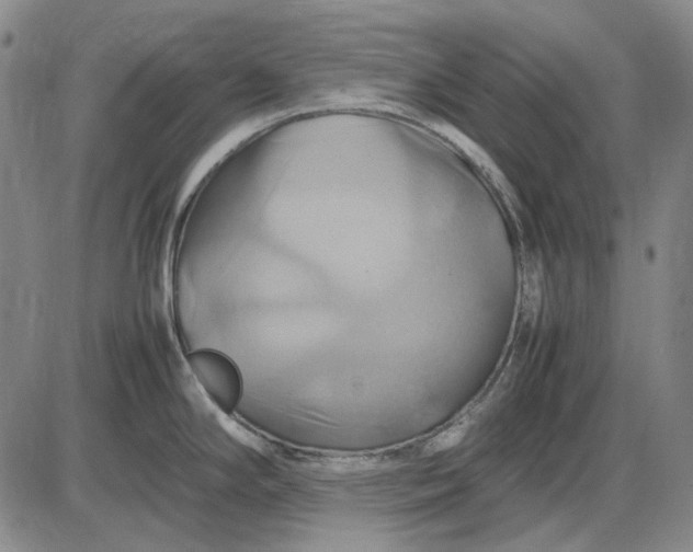 X0000085831294200703301609