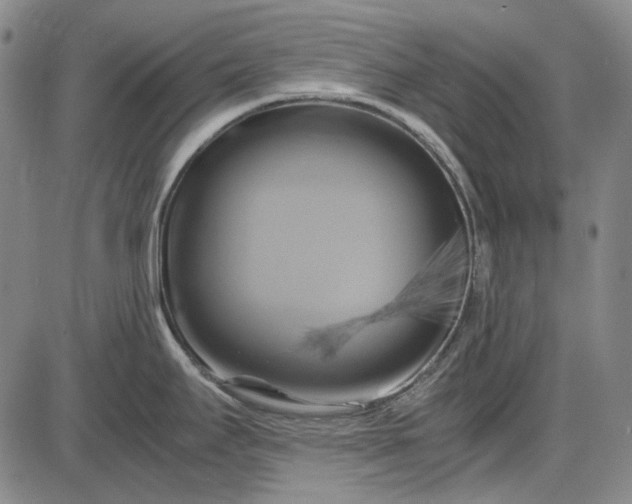 X0000085831295200703301609