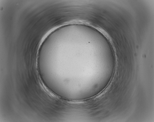 X0000085831296200703301609