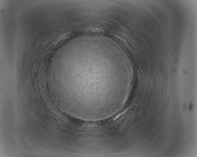 X0000085831297200703301609