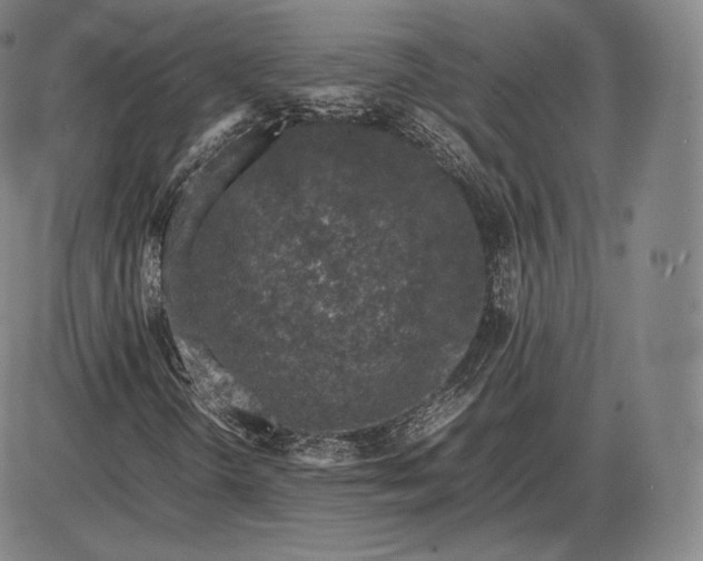 X0000085831298200703301609