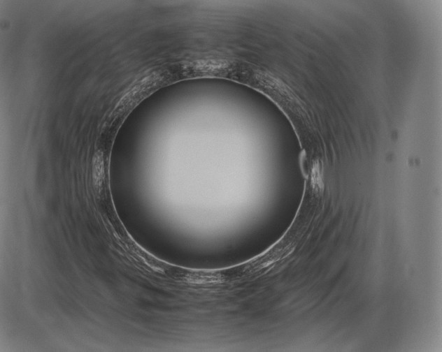 X0000085831299200703301609