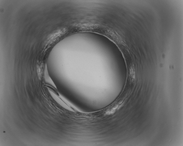 X0000085831300200703301609