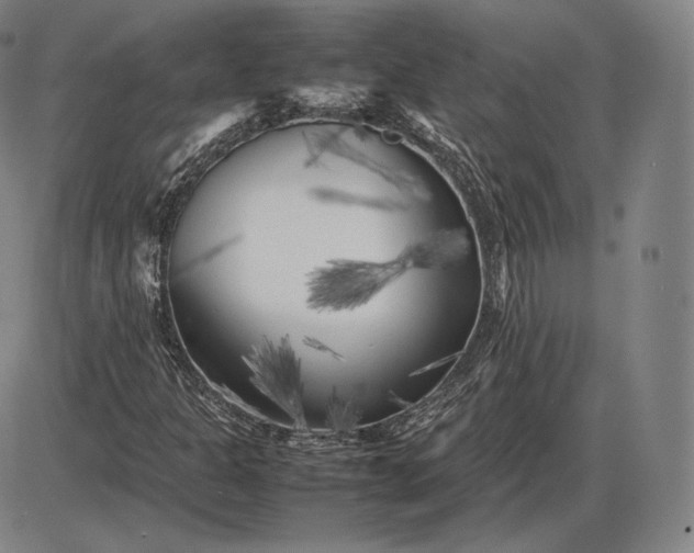 X0000085831301200703301609