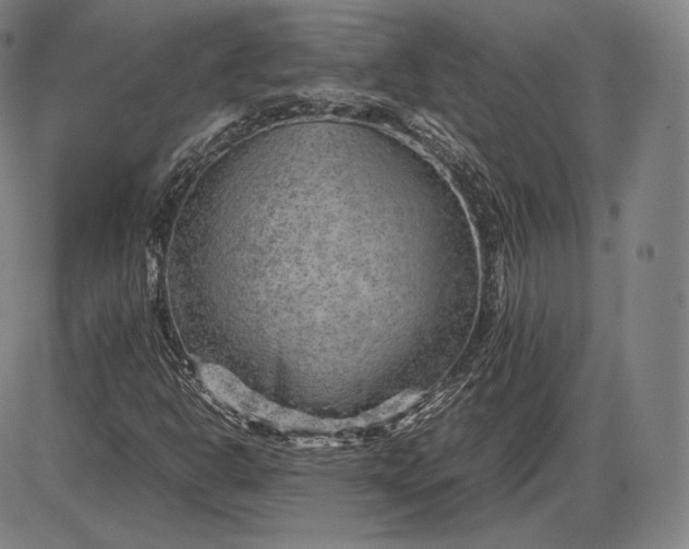 X0000085831302200703301609