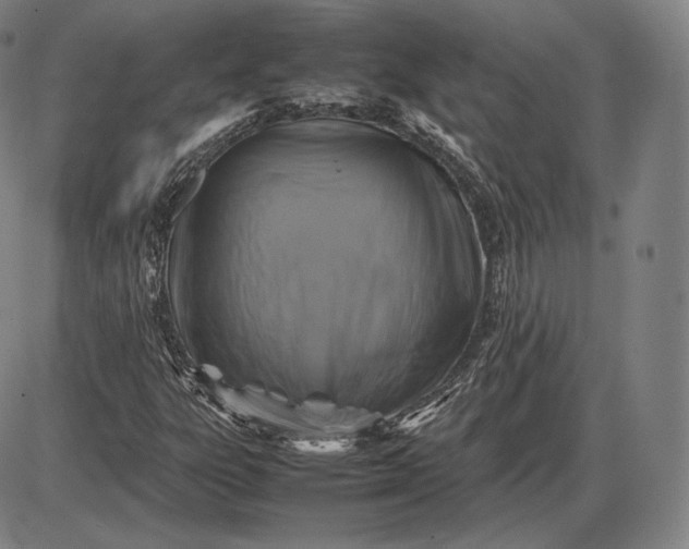 X0000085831303200703301609