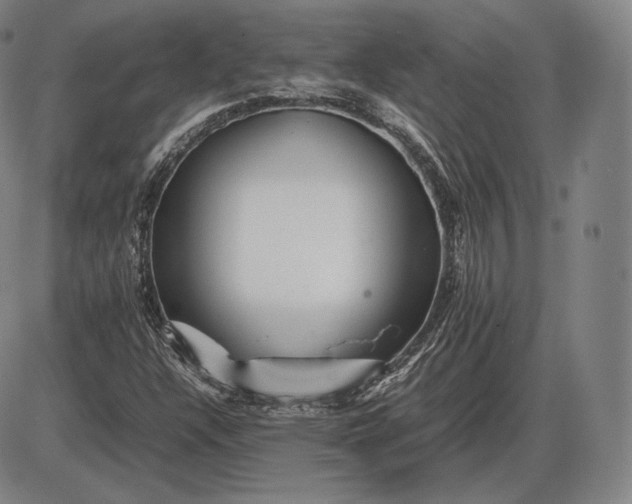 X0000085831304200703301609