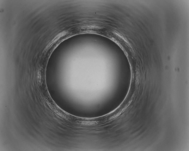 X0000085831305200703301609