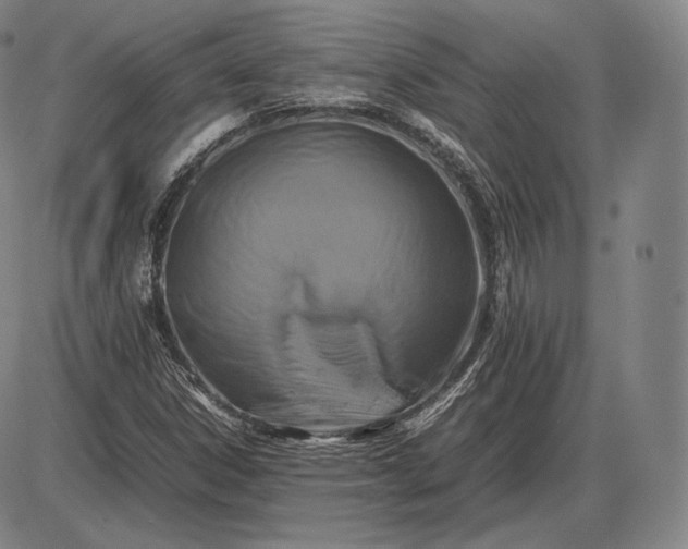 X0000085831306200703301609