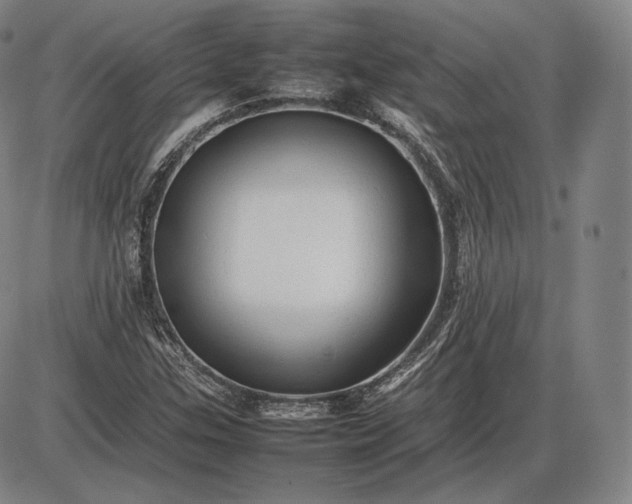 X0000085831307200703301609