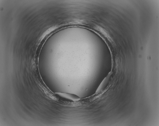 X0000085831308200703301609