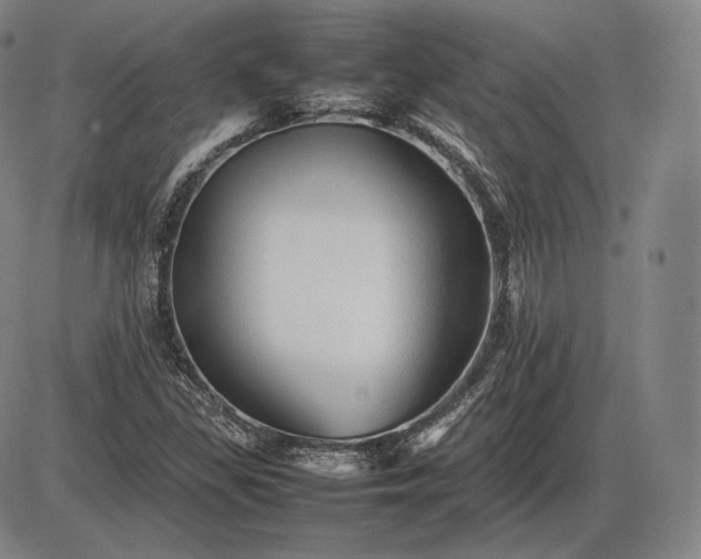 X0000085831309200703301609