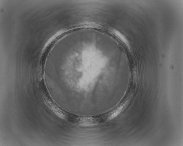 X0000085831310200703301609