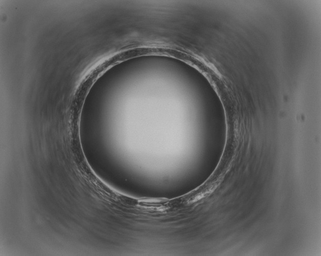 X0000085831311200703301609