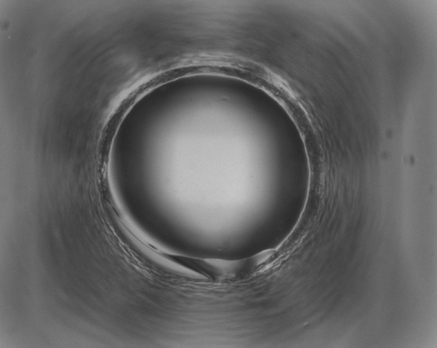 X0000085831312200703301609