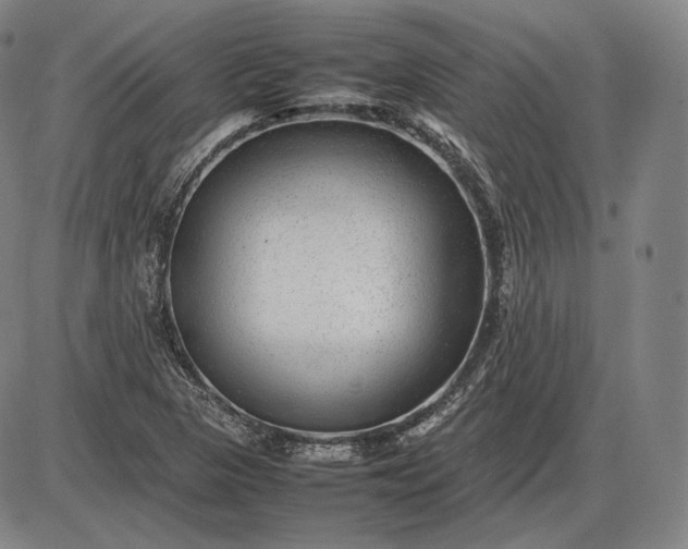 X0000085831313200703301609