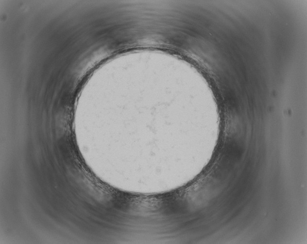 X0000085831314200703301609