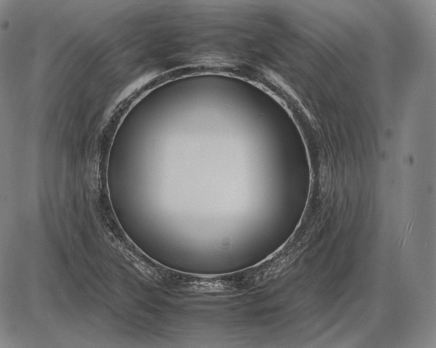 X0000085831315200703301609