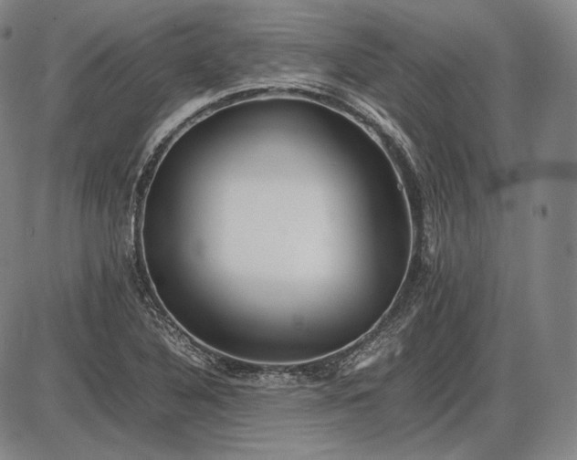 X0000085831316200703301609