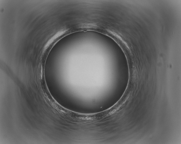 X0000085831317200703301609