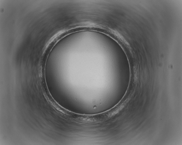 X0000085831318200703301609