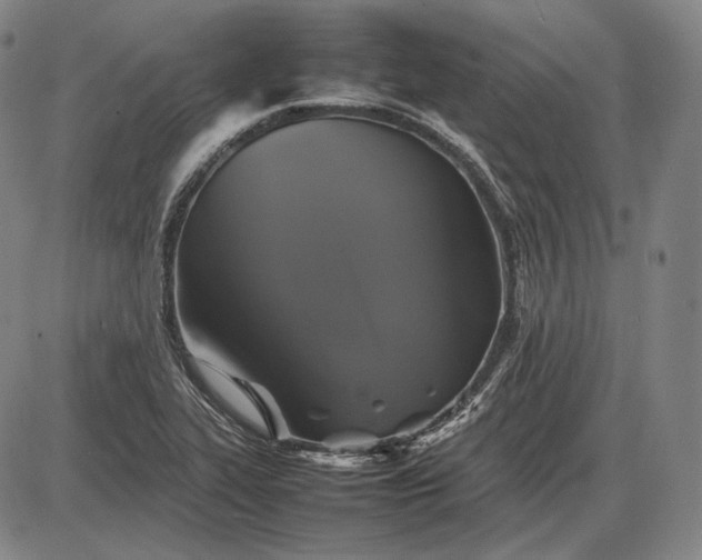 X0000085831319200703301609