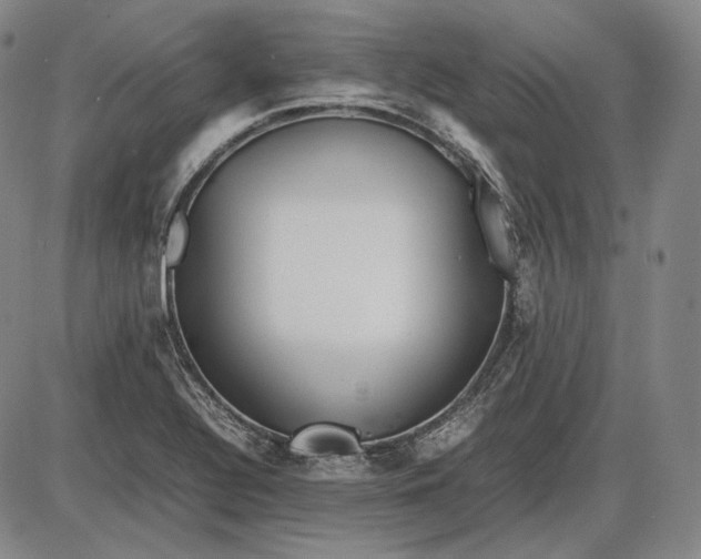 X0000085831320200703301609