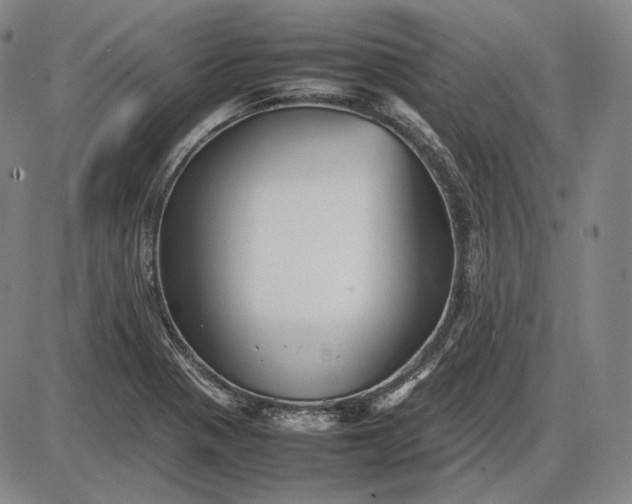 X0000085831321200703301609