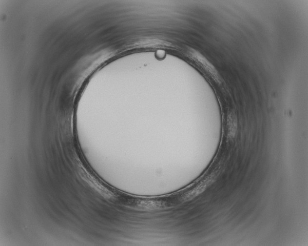 X0000085831322200703301609